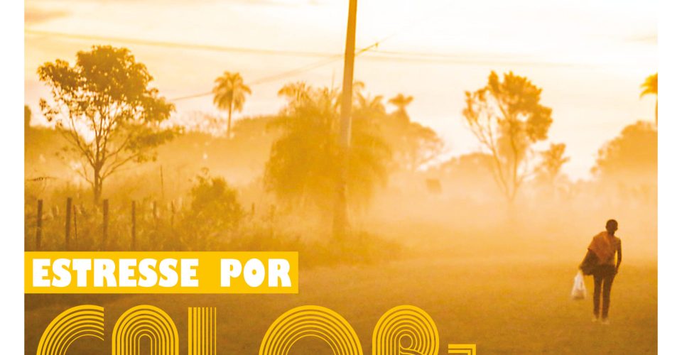 CAPA VIVER