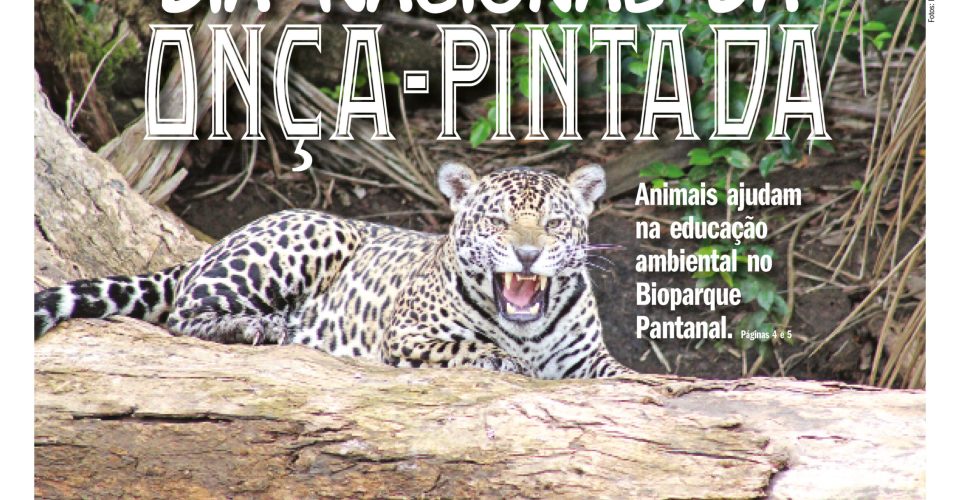 CAPA VIVER