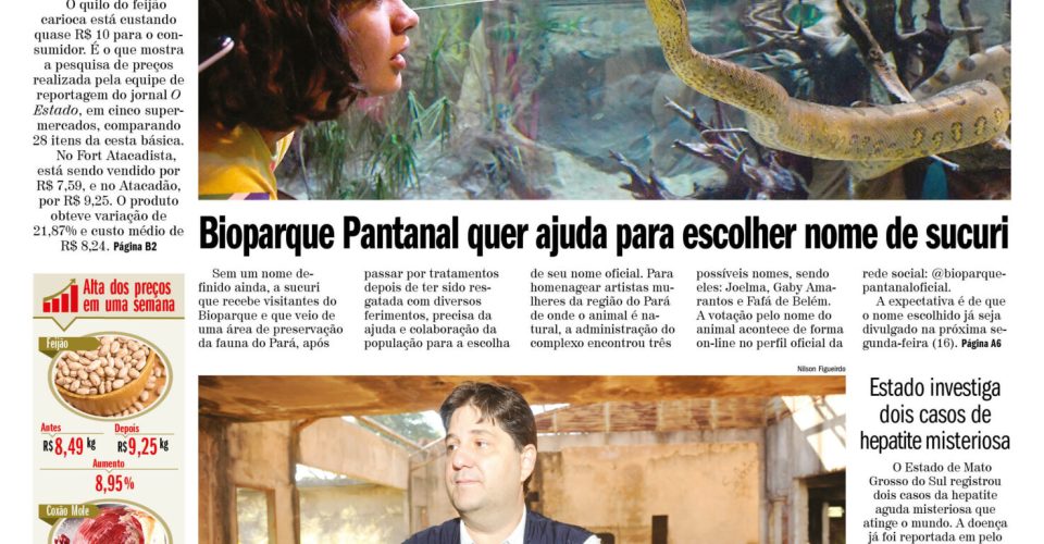 Pag01_Capa